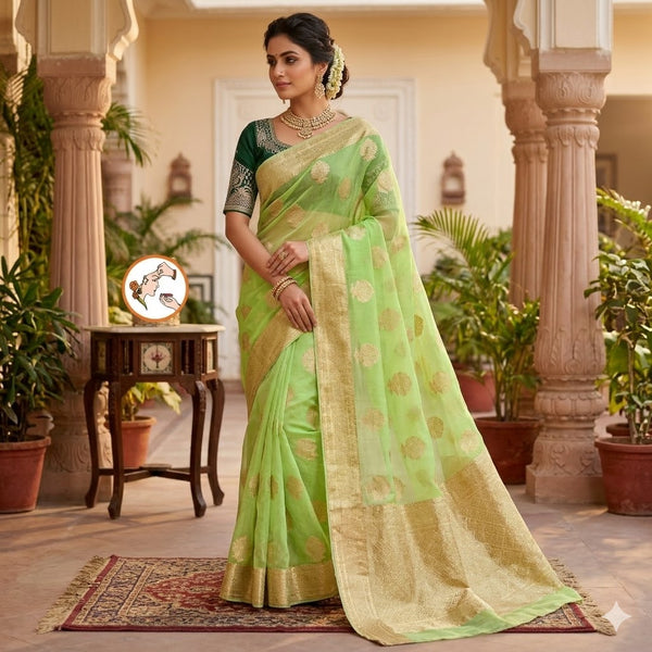 Light Green Pure Organza Designer Saree with contrast Dark Green blouse