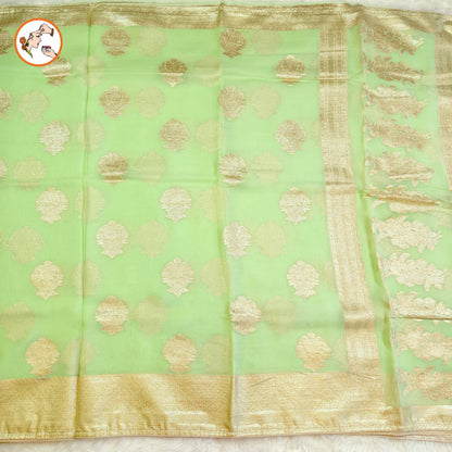 Light Green Pure Organza Designer Saree with contrast Dark Green blouse