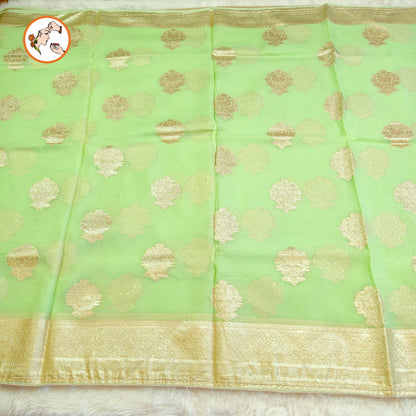 Light Green Pure Organza Designer Saree with contrast Dark Green blouse