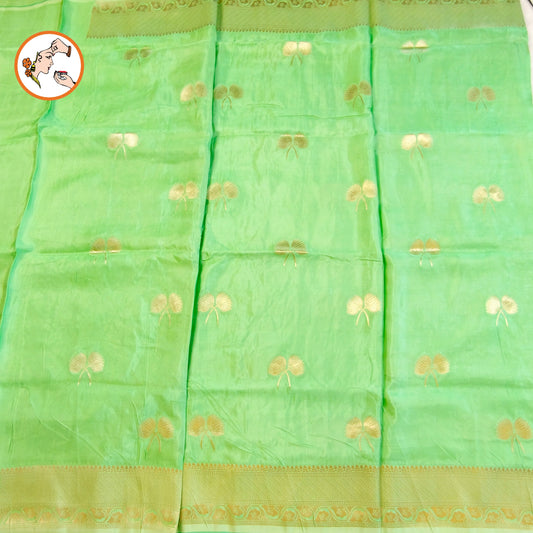 Pastel Green Antique zari Soft Light weight Banarasi Silk Partywear Saree