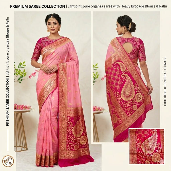Light Pink Pure Organza Designer Saree with contrast Dark Pink border & blouse