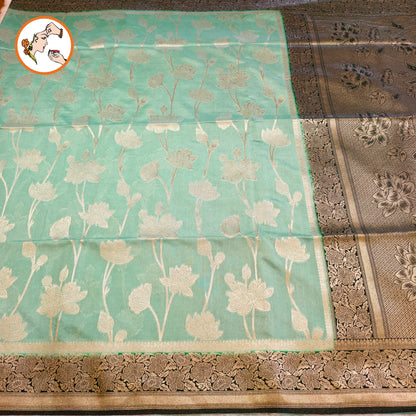 Light Green with Dark Green border Jaal design Banarasi Silk Saree (Light Weight)